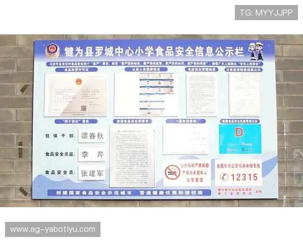 亚博网址平台安全保障措施，全面防护用户资金与信息安全，放心进行线上娱乐