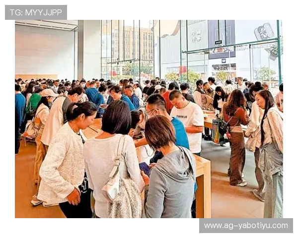 亚搏app官方地址官方入口全面解析，确保用户安全体验提升